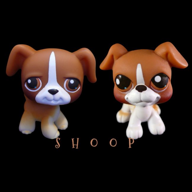 LPS 25 | 25 BIS