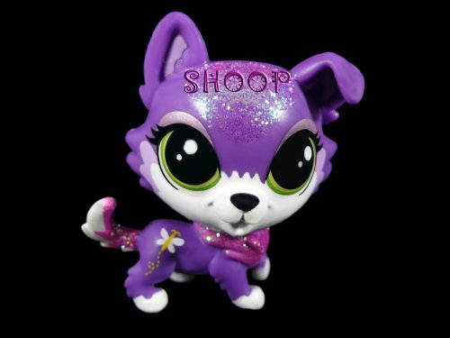 LPS PC 300