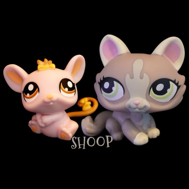 LPS 1370 | 1370 BIS – 1505